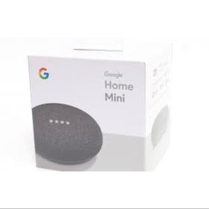 Google Home Mini Chalk Gray
